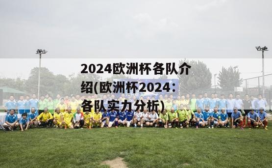 2024欧洲杯各队介绍(欧洲杯2024：各队实力分析)