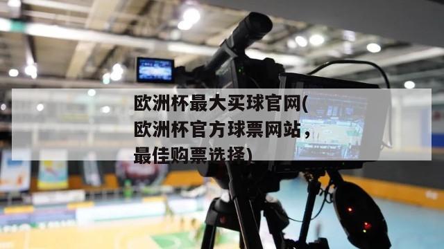 欧洲杯最大买球官网(欧洲杯官方球票网站，最佳购票选择)