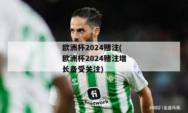 欧洲杯2024赌注(欧洲杯2024赌注增长备受关注)