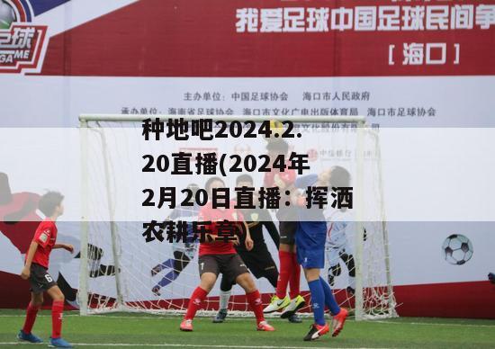 种地吧2024.2.20直播(2024年2月20日直播：挥洒农耕乐章)